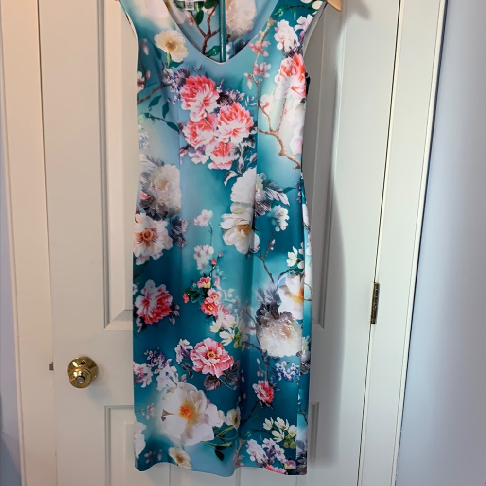 Floral Sleeveless Dress - Blue and Pink